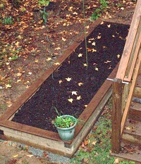 photo credit: Chris Dawson